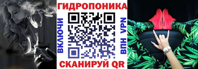 Купить где  Вольск  Бошки Шишки семена 